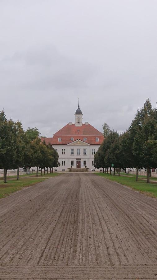 Fewo In Neustadt/Dosse, Der Stadt Der Pferde Leddin Extérieur photo